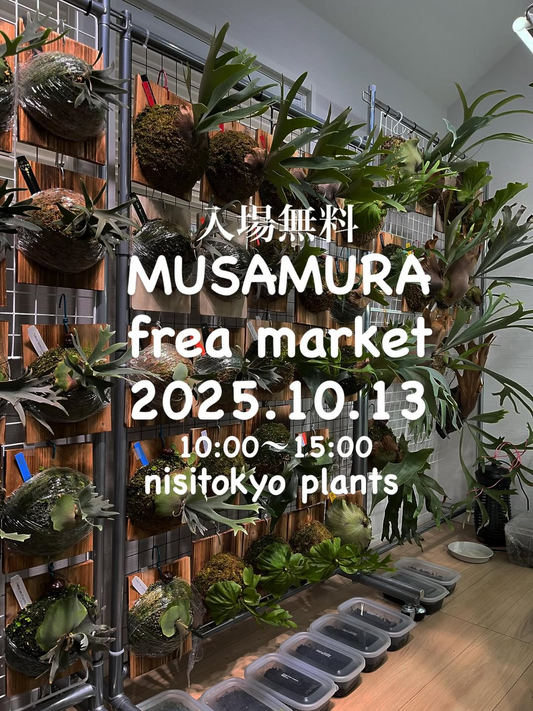 MUSAMURA frea marketがつむぐひろばで開催、最大100店と植物出店が集い西東京の蚤の市文化を盛り上げる2025