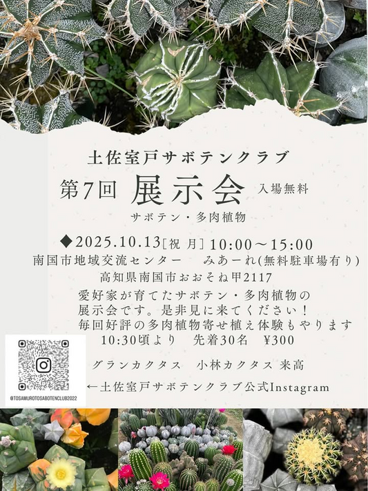 土佐室戸サボテンクラブが第7回展示販売会を開催、南国市みあーれで寄せ植え体験と余剰苗販売が来場者の関心を喚起