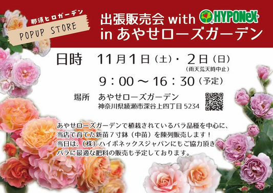 ハイポネックス協力の出張販売会があやせローズガーデンで開催、当店育成の新苗7寸鉢販売が園芸愛好家の注目を集める