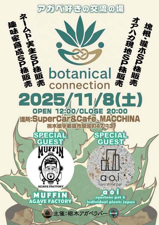 栃木アガベラバーがbotanical connectionを開催、Super Car&Cafe MACCHINAにアガベ愛好家が集う2025