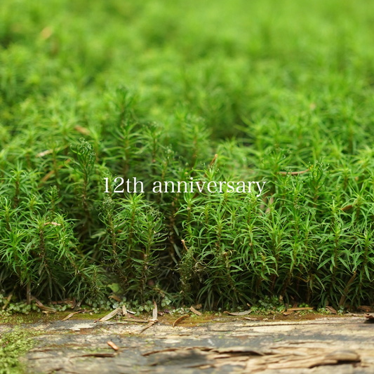 道草michikusaが道草12周年創業祭を開催、11月2日と3日に全品10%OFFや企画満載の店舗イベントに