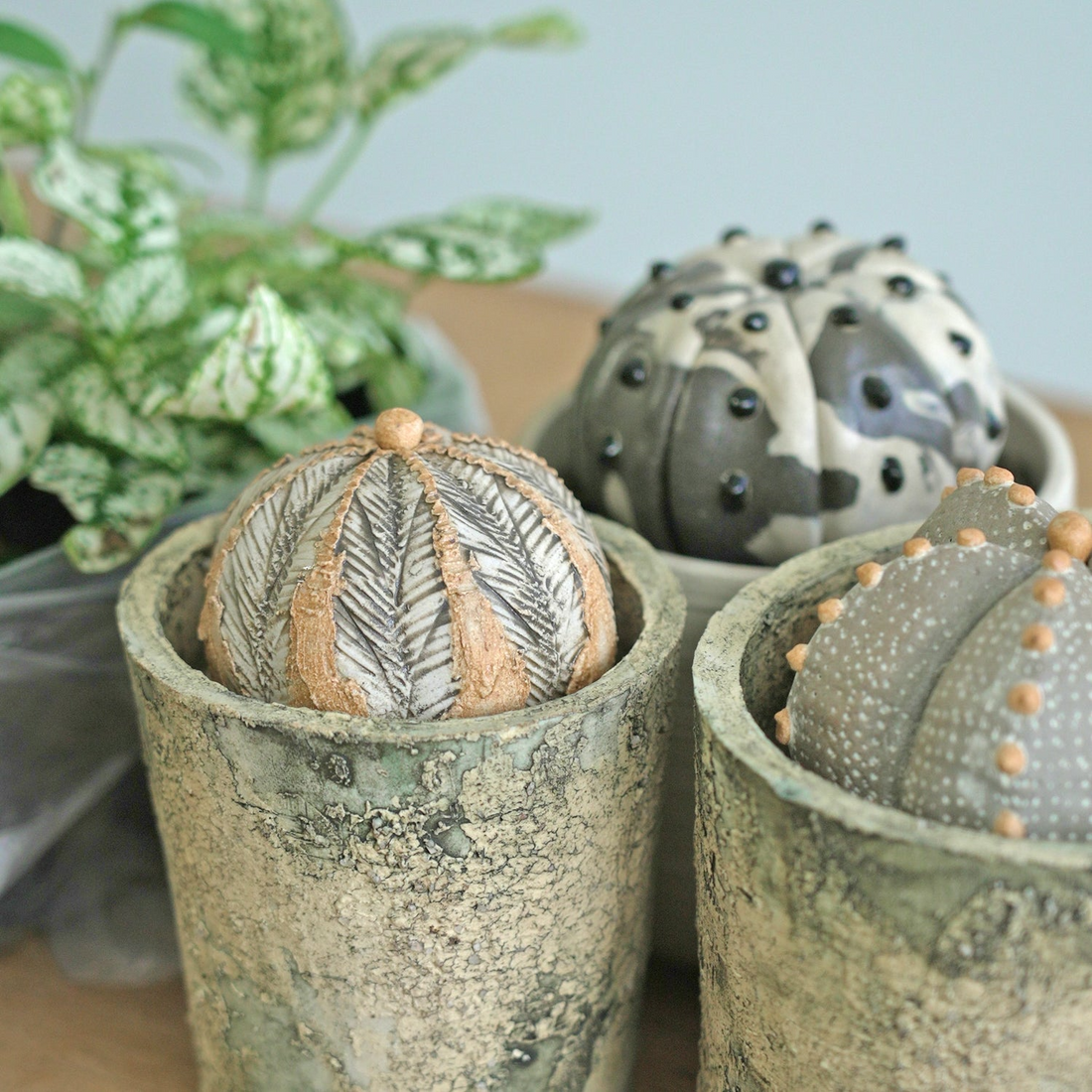 REN蔵前店がSTUDIO.ZOKの陶植展示販売を開催、2025年10月17日から26日に枯れない植物表現が来場者の関心を集める