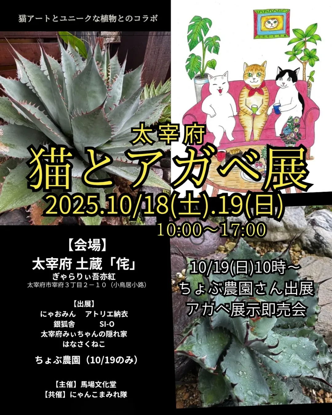 太宰府『猫とアガベ展』が2025年開催、歴史的土蔵で猫アートとアガベの展示販売が来場者の関心を集める