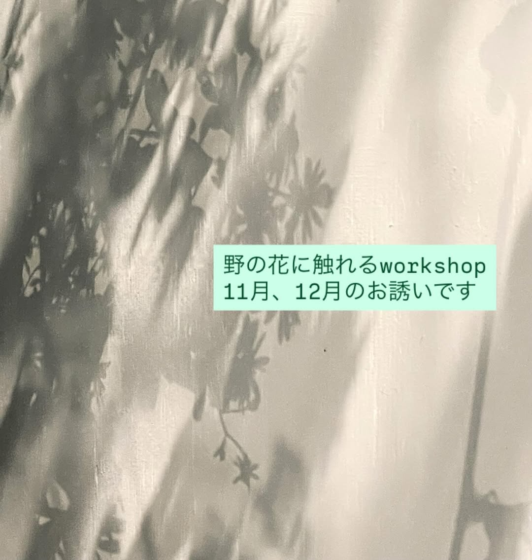 野道が季節の花で野の花に触れるworkshopを開催、世田谷のhocギャラリーでクリスマスと正月飾りづくりが学べる