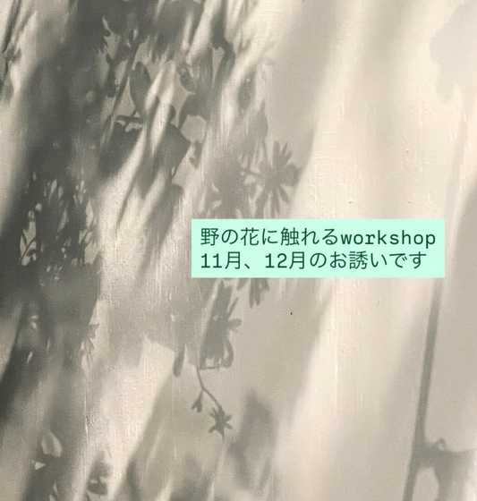 野道が季節の花で野の花に触れるworkshopを開催、世田谷のhocギャラリーでクリスマスと正月飾りづくりが学べる