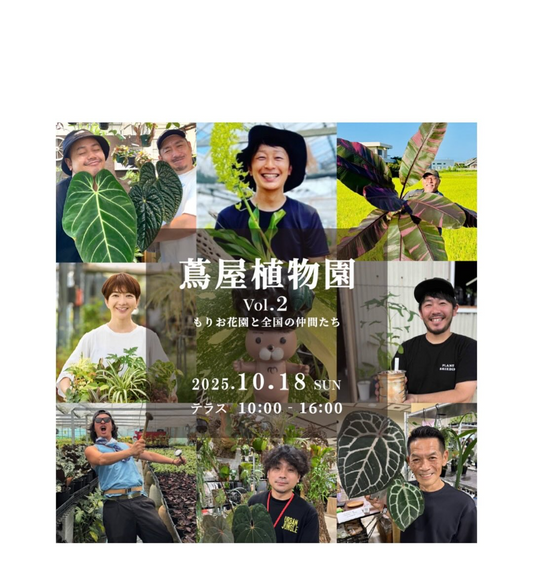 高知蔦屋書店が蔦屋植物園vol.2を開催、もりお花園と全国の仲間が集結し体験と提案で植物ファンの関心を集める