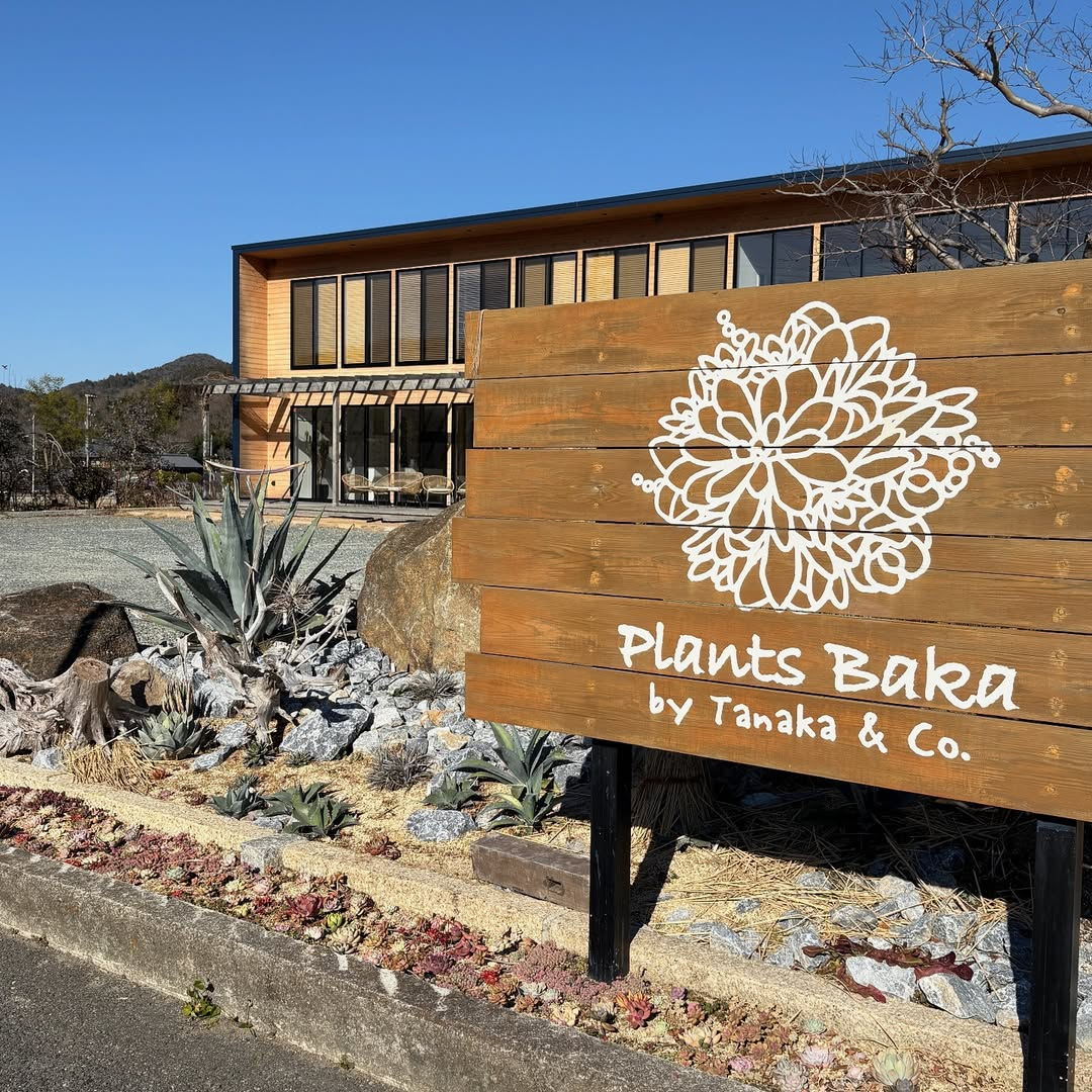 PlantsBakaが周年祭ぷらんつばか騒ぎ2025を開催、神戸の実店舗に販売者