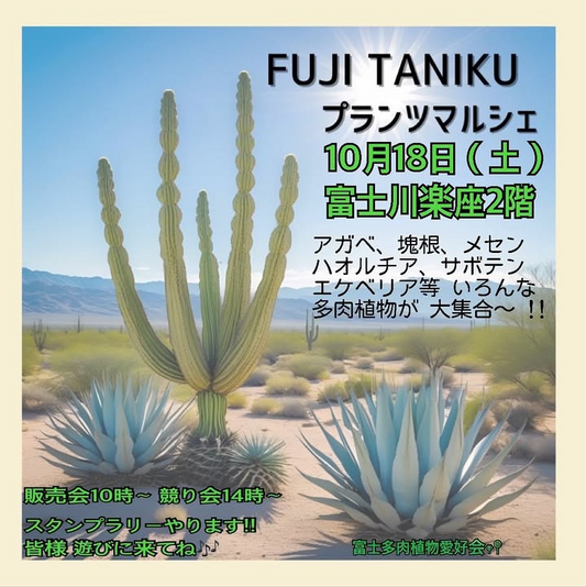 富士多肉植物愛好会がFUKI TANIKU プランツマルシェを開催、富士川楽座2階で多肉販売と競り会を実施し来場者参加型企画で地域の園芸熱を高める