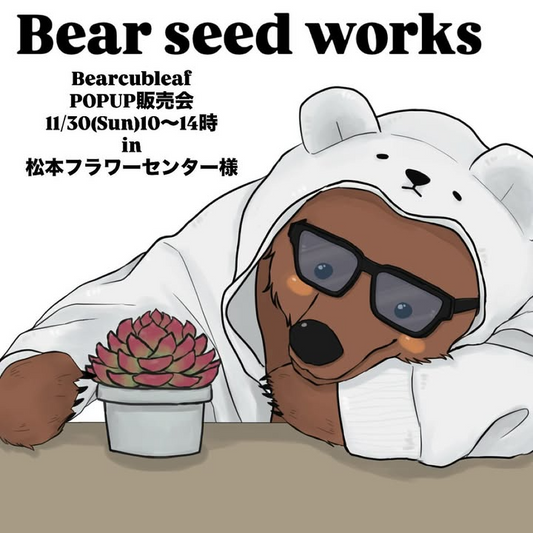 Bearseedworksvol1が松本フラワーセンターでPOPUP販売会を開催、種から育てた多肉が長野の園芸ファンの関心を集める