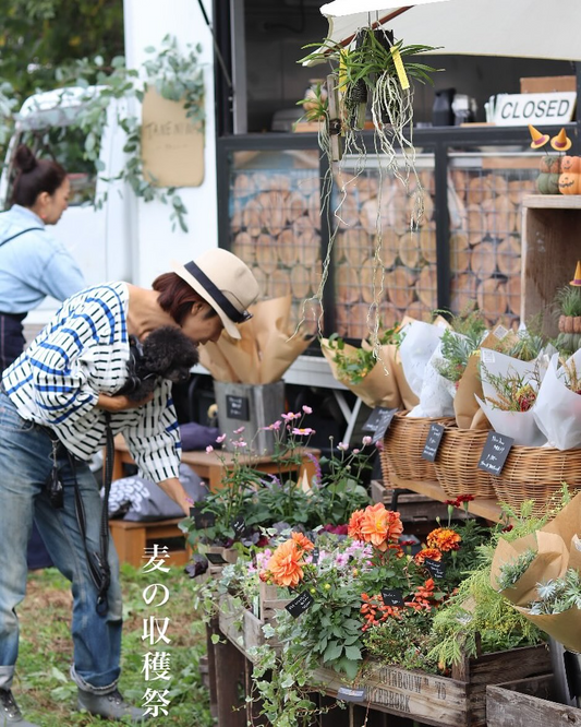 タネニハが麦の収穫祭を六仙公園で出店、花苗と食の提案で東久留米の賑わい創出2025