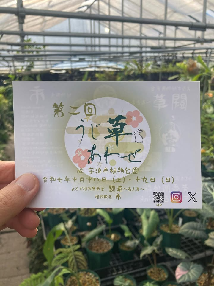 宇治市植物公園がうじ草あわせ2025を開催、闘草展示と市の販売と茶香服体験が来場者の学びと購買を促進