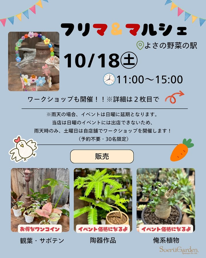 SoerüGardenがフリマ&マルシェに出店、よさの野菜駅で体験付き植物販売が地域交流の場に