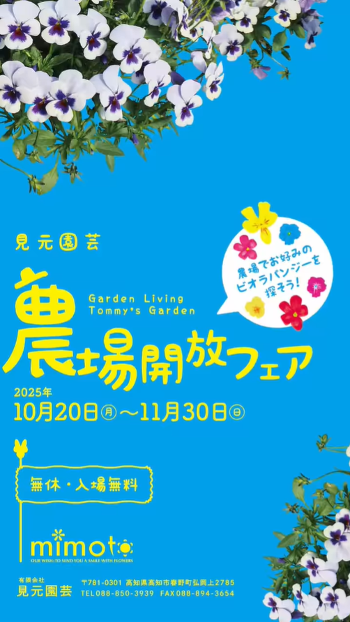見元園芸農場が農場開放フェアを開催、5万ポットのパンジーとビオラが高知で来場者の選択を広げる