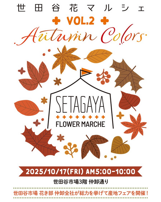世田谷花マルシェvol.2が2025年10月17日に開催、東京都中央卸売市場世田谷市場で産地紹介と花材展示を実施