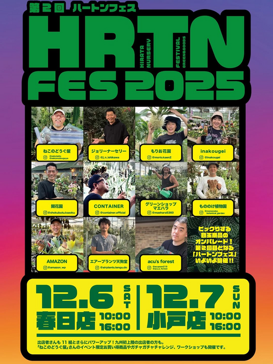 平田ナーセリー春日店が第2回HRTNFES2025を開催、多彩なアロイド系と観葉植物の出店が九州の来場者の関心を集める
