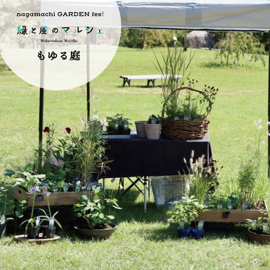 長町住宅展示場でnagamachi GARDEN fes 2025 autumnを開催、緑と風のガーデンでもゆる庭が球根植え付け体験を実施し来場者の関心を集める
