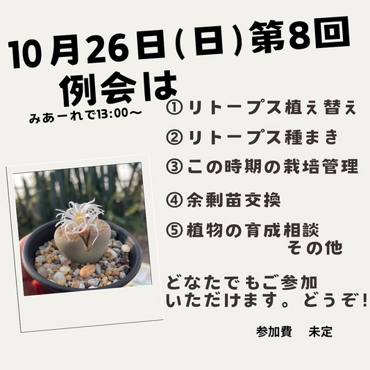 土佐むろとサボテン倶楽部が第八回定例会を開催、南国市MIAREで2025年10月に実技講習と交換会が学習機会に