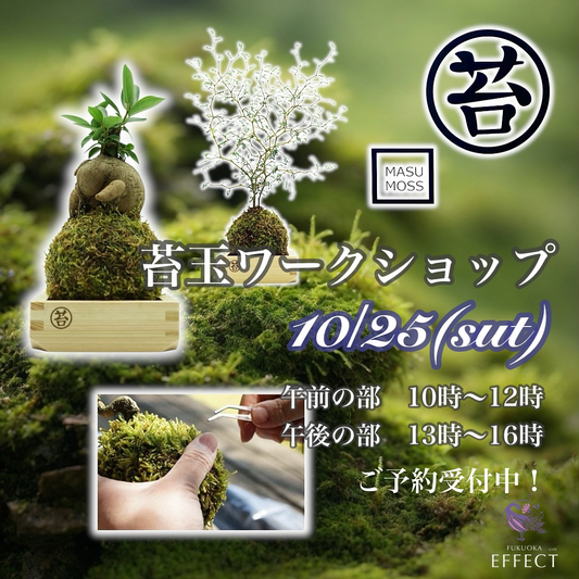 FUKUOKA EFFECTが苔玉ワークショップを開催、2025年10月25日に福岡市西区で少人数制の実技体験が学びと制作に