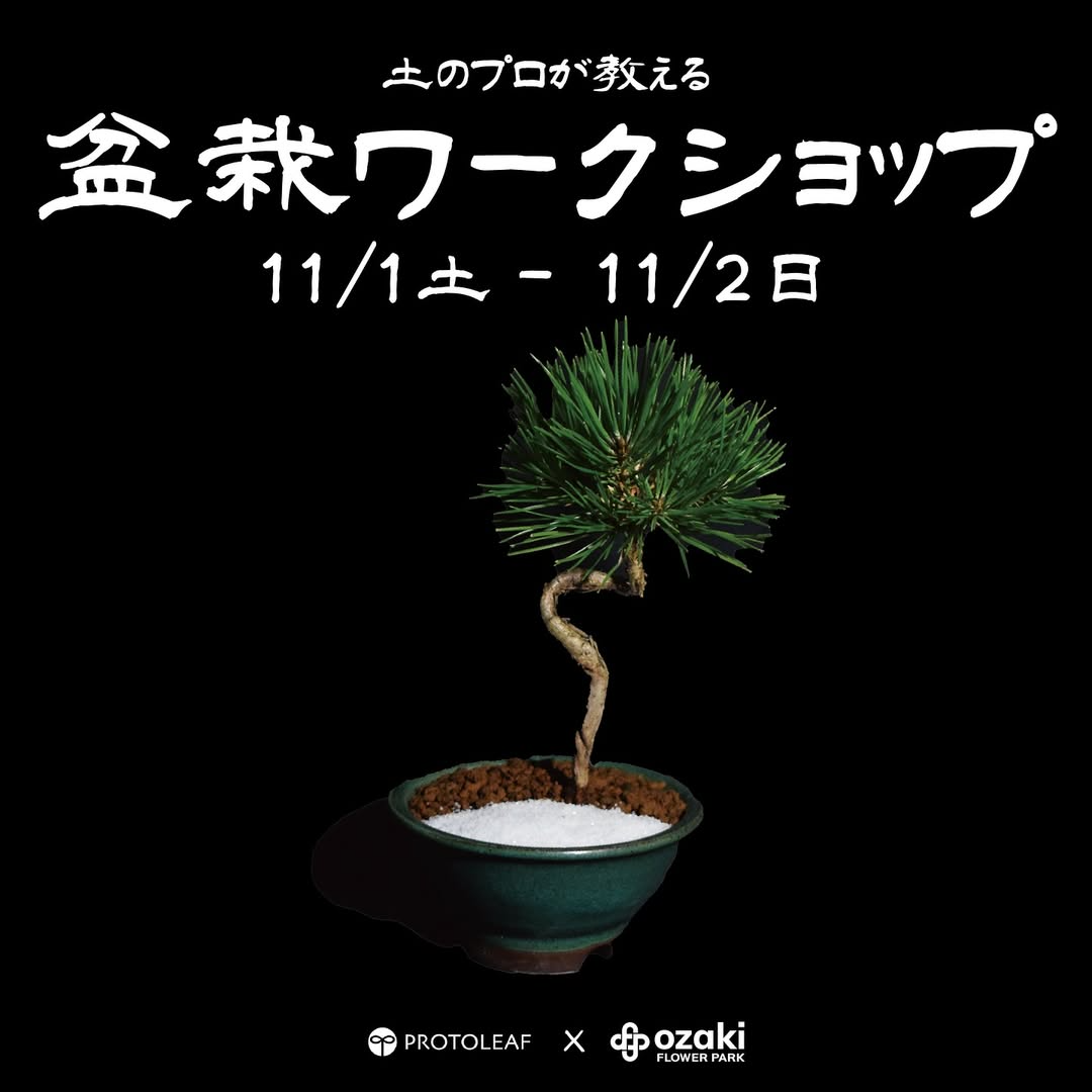 オザキフラワーパークが盆栽ワークショップを開催、2025年11月の土のプロ指導が初心者の学習と制作に直結