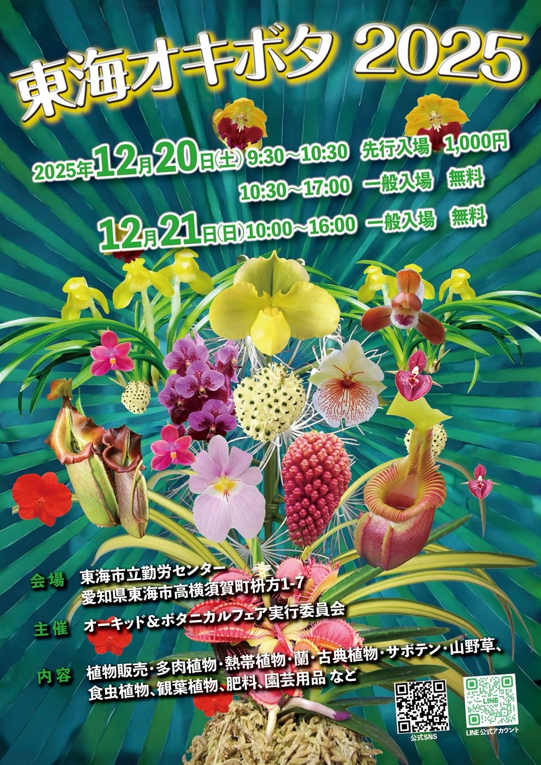 東海オキボタ2025が東海市立勤労センターで開催、洋ランや多肉を含む販売イベントが愛知の植物愛好家に機会を提供
