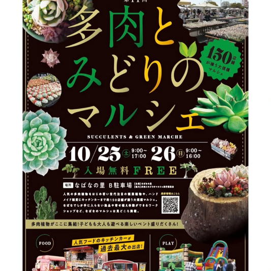 なばなの里が多肉とみどりのマルシェを開催、第11回秋の植物と雑貨の販売が家族連れの来場を促進
