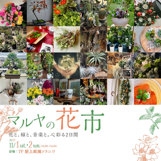 マルヤガーデンズがマルヤの花市2025を開催、屋上庭園ソラニワで花と音楽と体験企画が来場動機に
