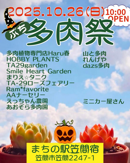 まちの駅笠間宿がプチ多肉祭2025を開催、多肉専門店の出店が集結し笠間工芸の丘と併催で来訪動線を拡張