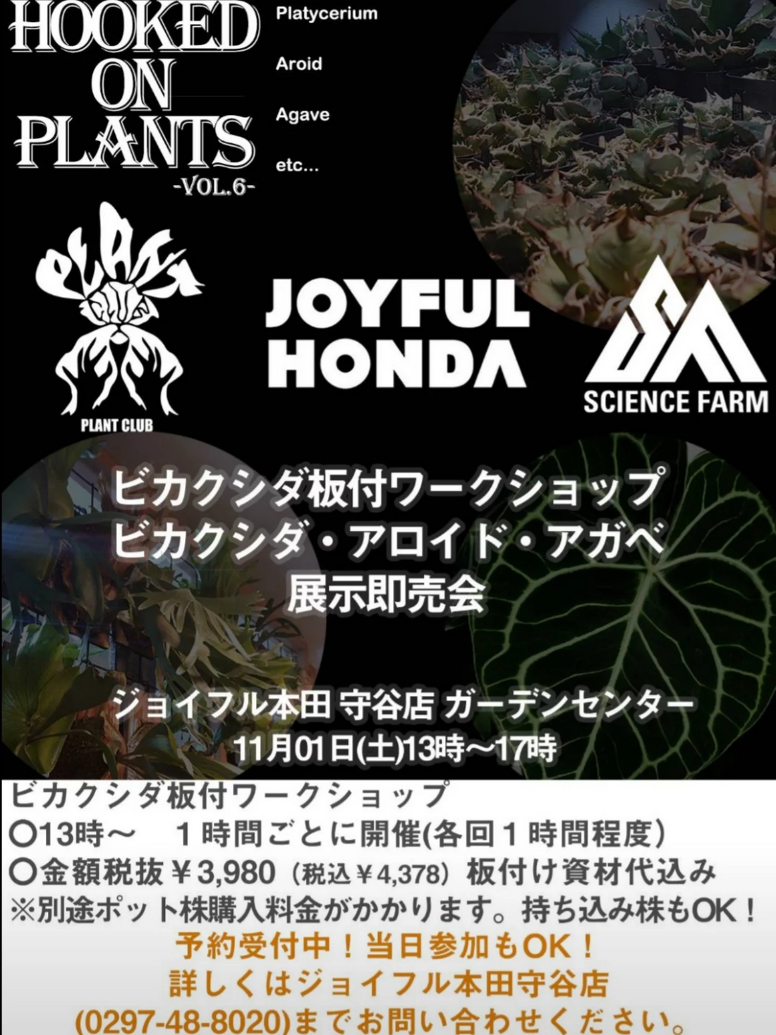 PLANTCLUBがHOOKEDONPLANTS-VOL.6-を開催、守谷店ガーデンセンターで板付WSと展示即売が植物愛好家の関心を集める
