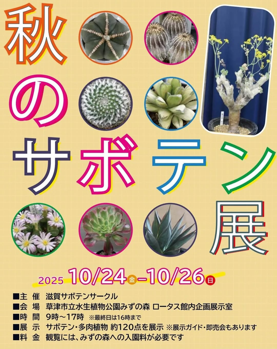 滋賀サボテンサークルが秋のサボテン展2025を開催、草津市立水生植物