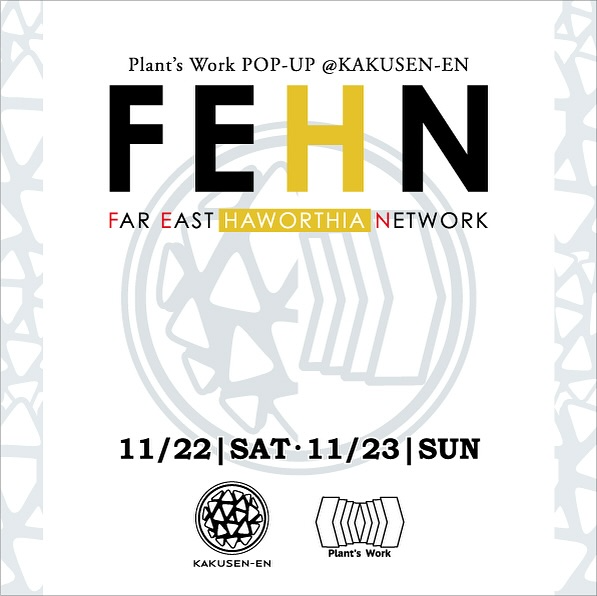FEHNがハオルチア特化POPUPを開催、鶴仙園池袋店の屋上で第4回が二日間の集中開催に