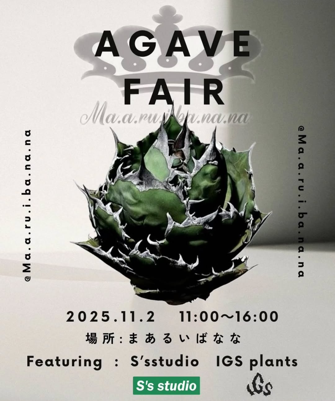 IGS PLANTSとSSSTUDIOがAGAVE FAIR・アガベフェア2025を開催、愛媛西条
