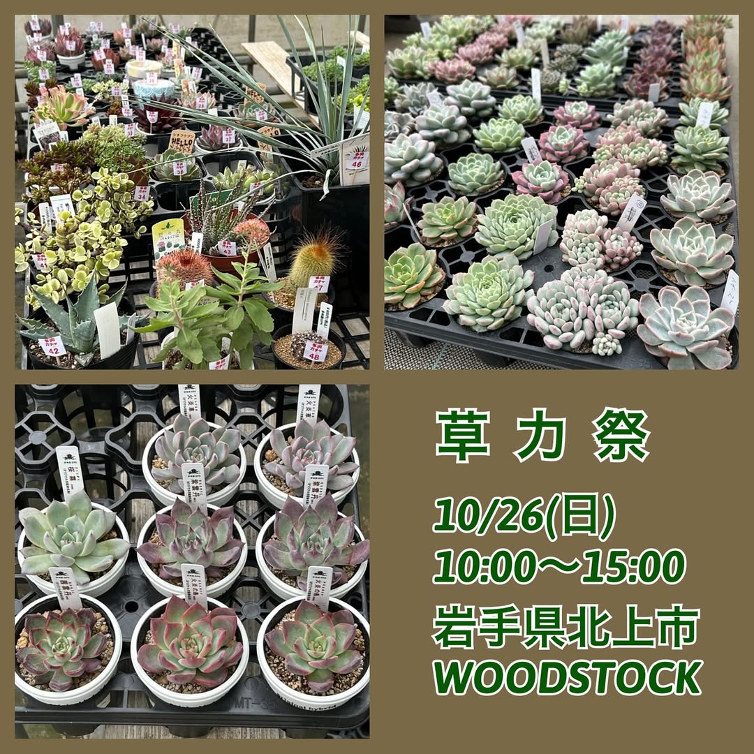 草力祭2025が北上市で植物イベントを開催、多肉バイキングや抽選販売がWOODSTOCKに集結し愛好家の来場意欲を高める