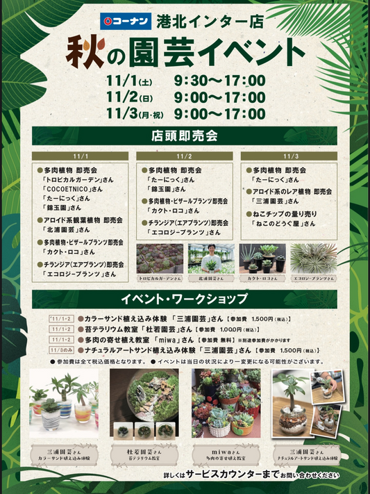 GREEN BASE KOCHIが店内イベントを実施、マルニガーデンでビカクシダとアガベを2025年11月2日に提供