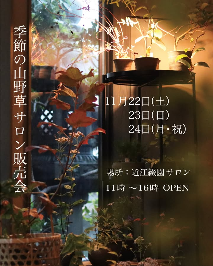 近江綴園が季節の山野草サロン販売会を開催、寄せ植えワークショップを3日間で実施し地域の園芸体験に寄与