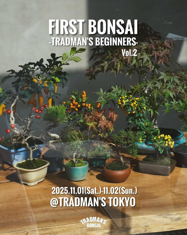 TRADMAN'STOKYOが小品盆栽販売会を開催、FRISTBONSAIvol.2が丸の内の TRADMAN'STOKYOが小品盆栽販売会を開催、FRISTBONSAIvol.2が丸の内の