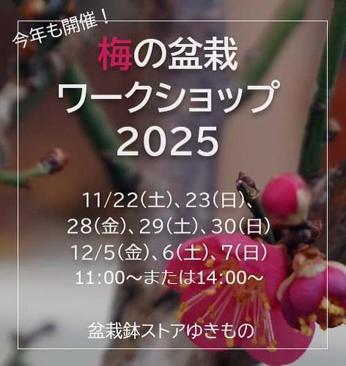 NEW LIGHT POTTERYが梅の盆栽ワークショップ2025を開催、素材を再生した器と梅の展示販売が奈良で注目を集める