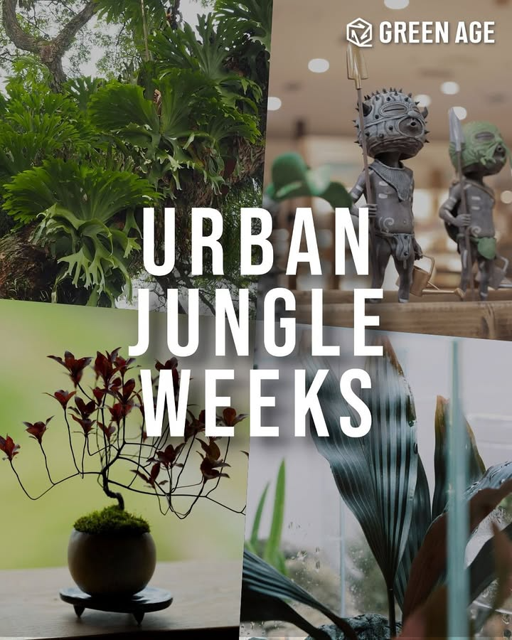 阪急うめだ本店でURBANJUNGLEWEEKSを開催、石木花やビカクシダ企画と松竹園やLOBINDONの展示販売を順次実施
