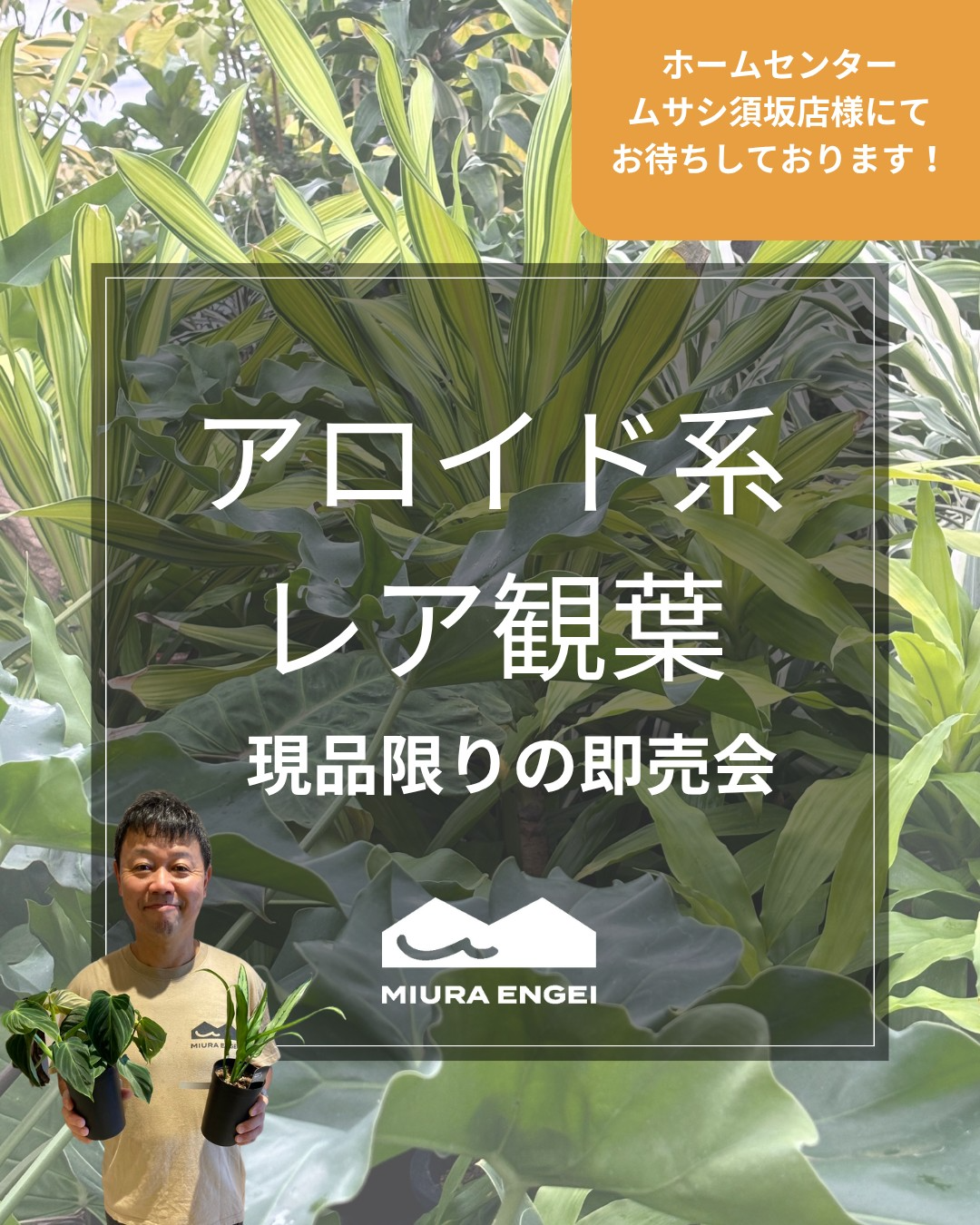 ファーム　アカサタ園芸さん専用！ ファーム アカサタ園芸さん専用！ ファーム アカサタ園芸さん専用