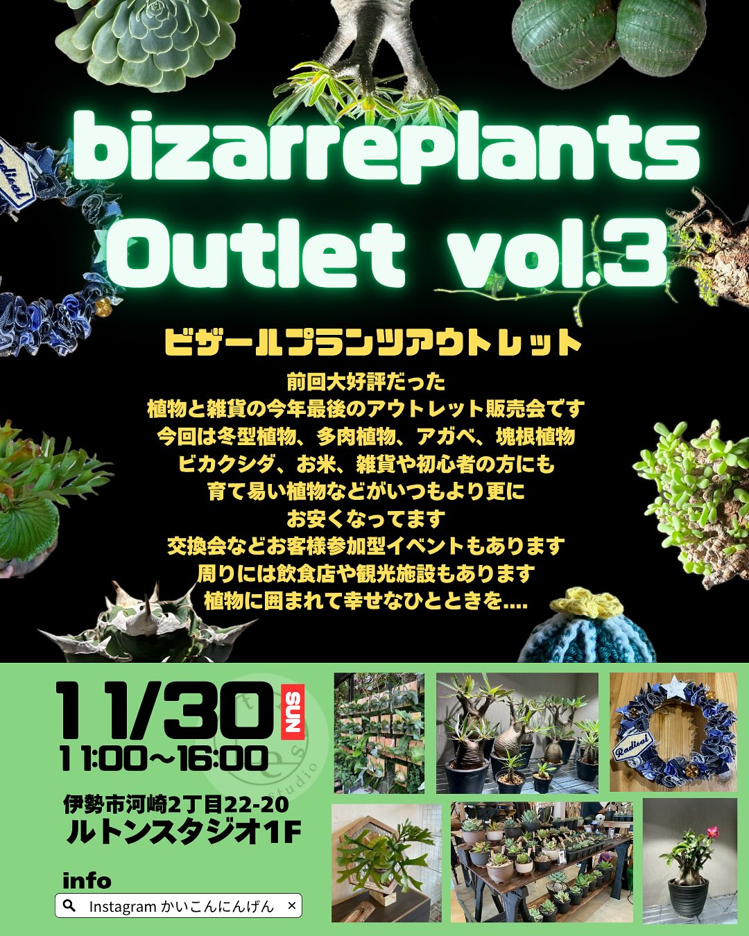 ビザールプランツアウトレットvol.3 2025がルトンスタジオで