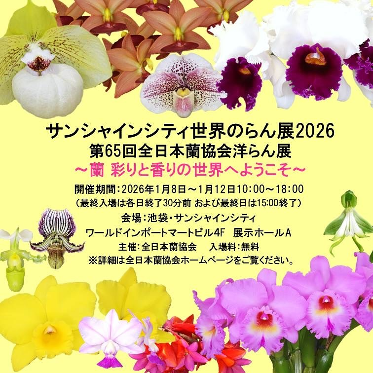 全日本蘭協会がサンシャインシティ世界のらん展2026を開催、池袋で第65