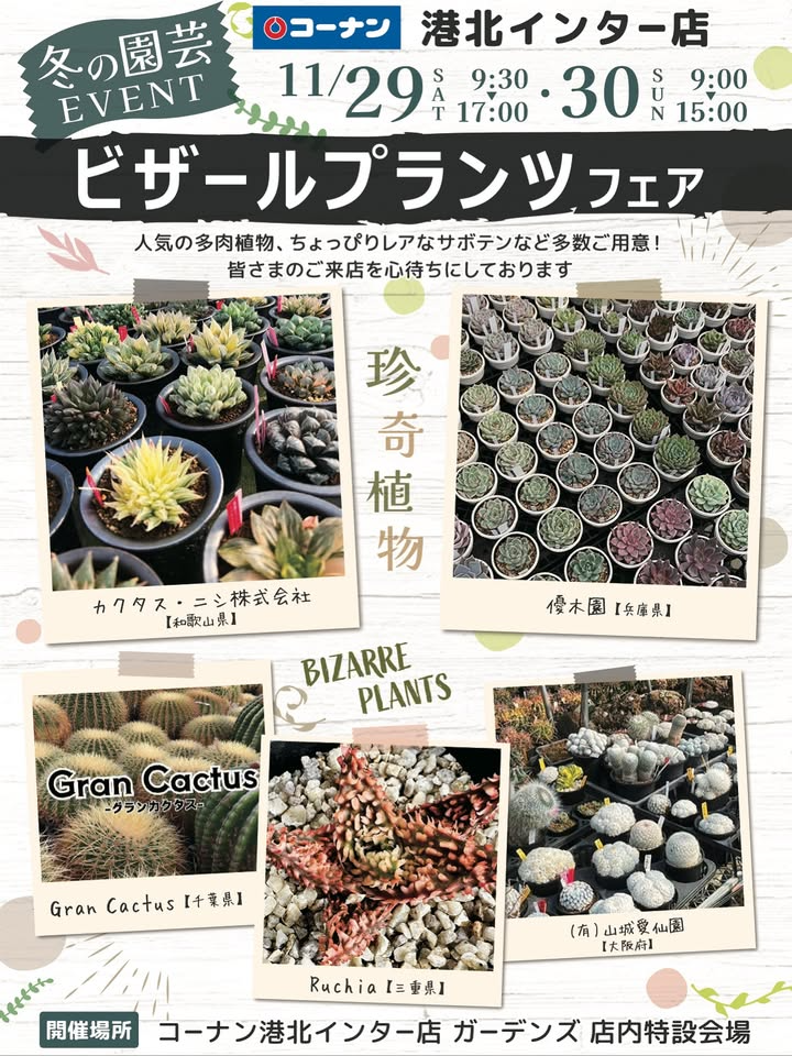 植物引退さん専用　ビースト　産　子株 ビザールプランツフェア2025がコーナン港北インター店ガーデンズ店内で