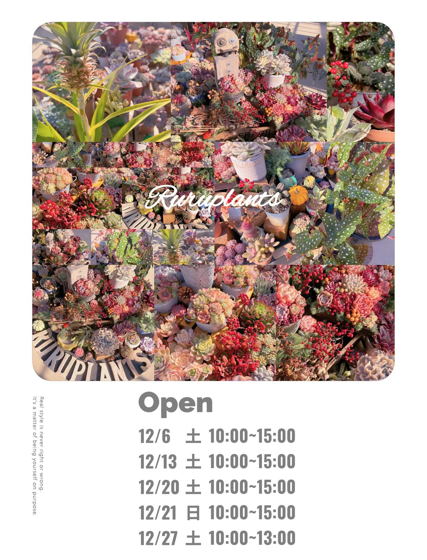 Ruru plantsハウス開放2025がるる農園で冬色多肉ハウスを開放、多肉