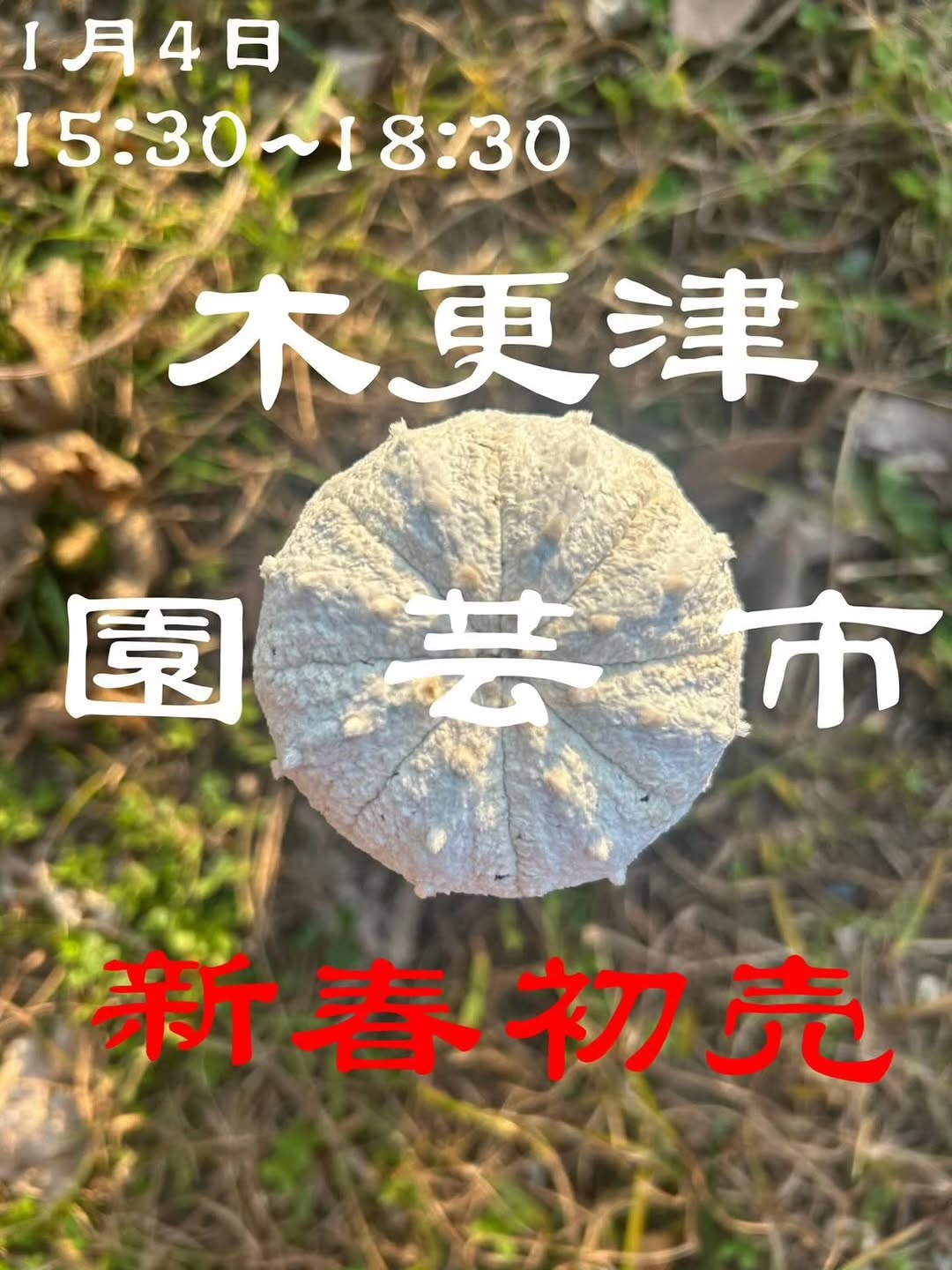 木更津園芸市 新春初売2026が木更津市金田地域交流センターできさ