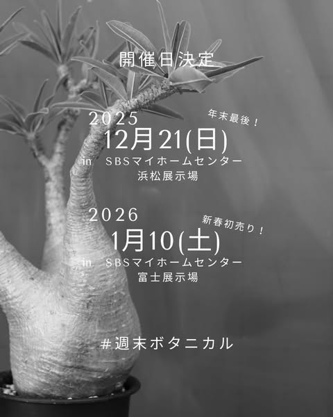 週末ボタニカルが2025年末浜松と2026年新春富士で開催、多肉植物と塊根