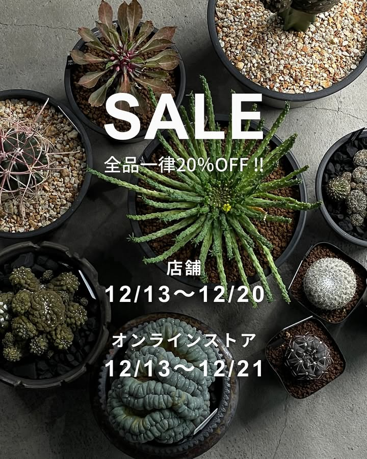 最終的にサボテンが4周年大感謝祭2025を開催、店舗とオンラインの全品