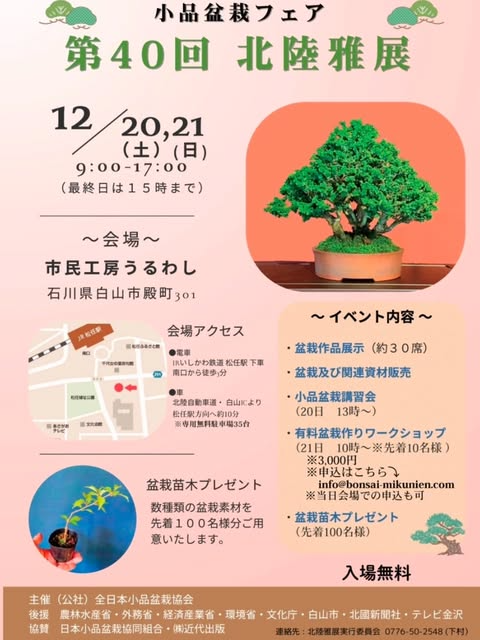 小品盆栽フェア第40回北陸雅展2025が白山市で開催、作品展示と講習会や