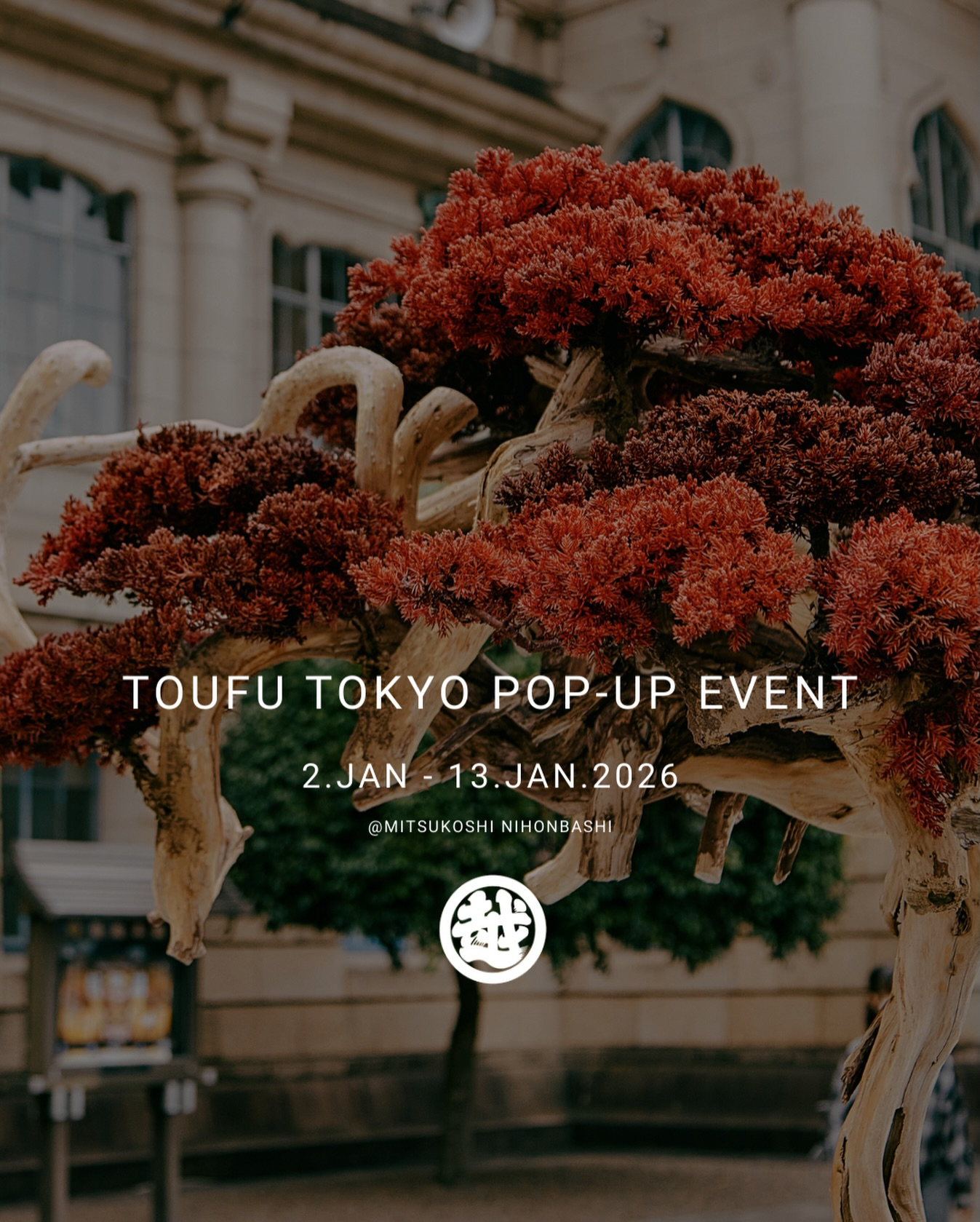 TOUFU 東京 盆栽 年末キャンペーン TOUFUTOKYOが三越日本橋でPOPUPを