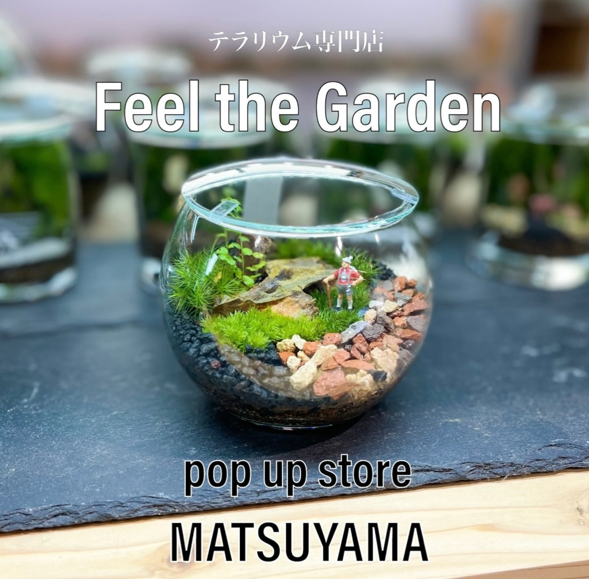 Feel the GardenがPOPUPイベントを開催、いよてつ髙島屋で苔テラリウム