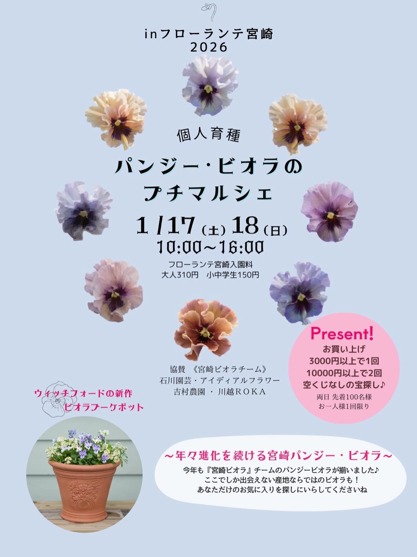 フローランテ宮崎が個人育種パンジー・ビオラプチマルシェを開催、宮崎