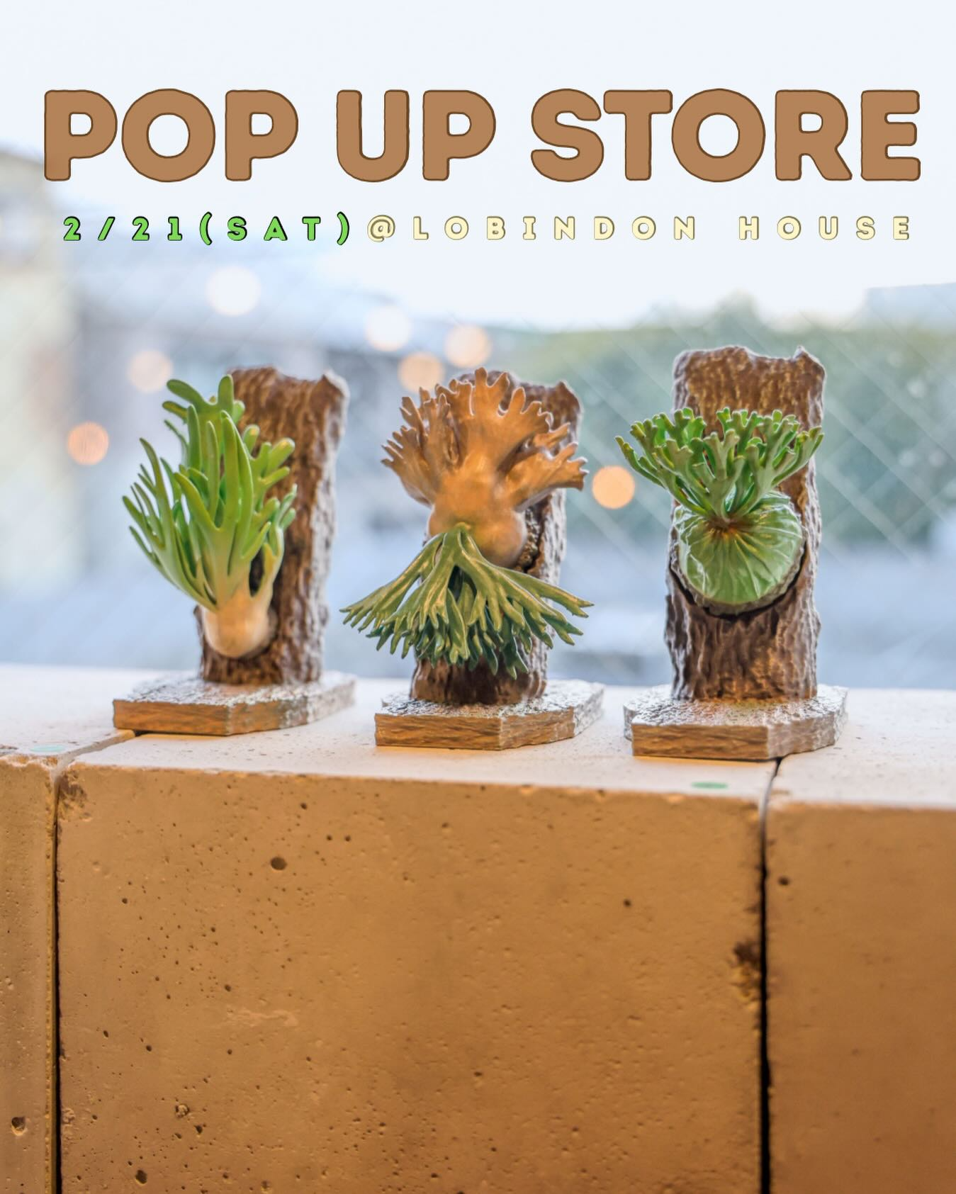 LOBINDONがLOBINDON HOUSEでPOP UP STOREを開催、植物×造形の